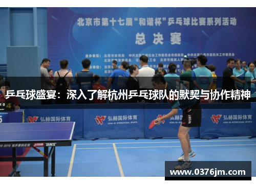 乒乓球盛宴：深入了解杭州乒乓球队的默契与协作精神